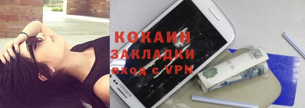 шишки Магадан
