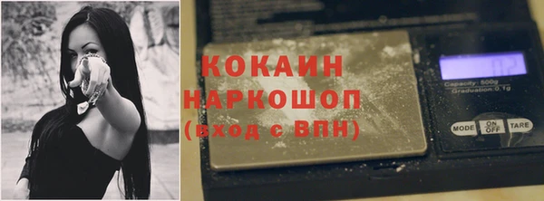 шишки Магадан