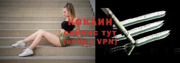 шишки Магадан