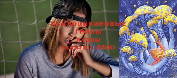 шишки Магадан
