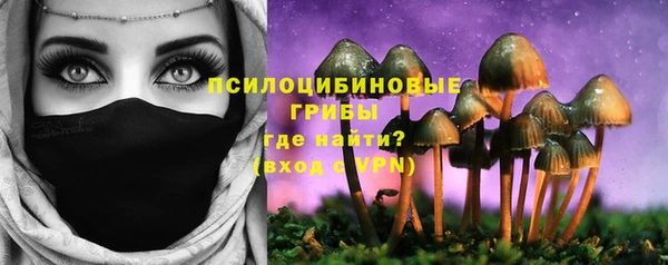 шишки Магадан