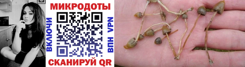 Псилоцибиновые грибы мицелий  Прохладный 