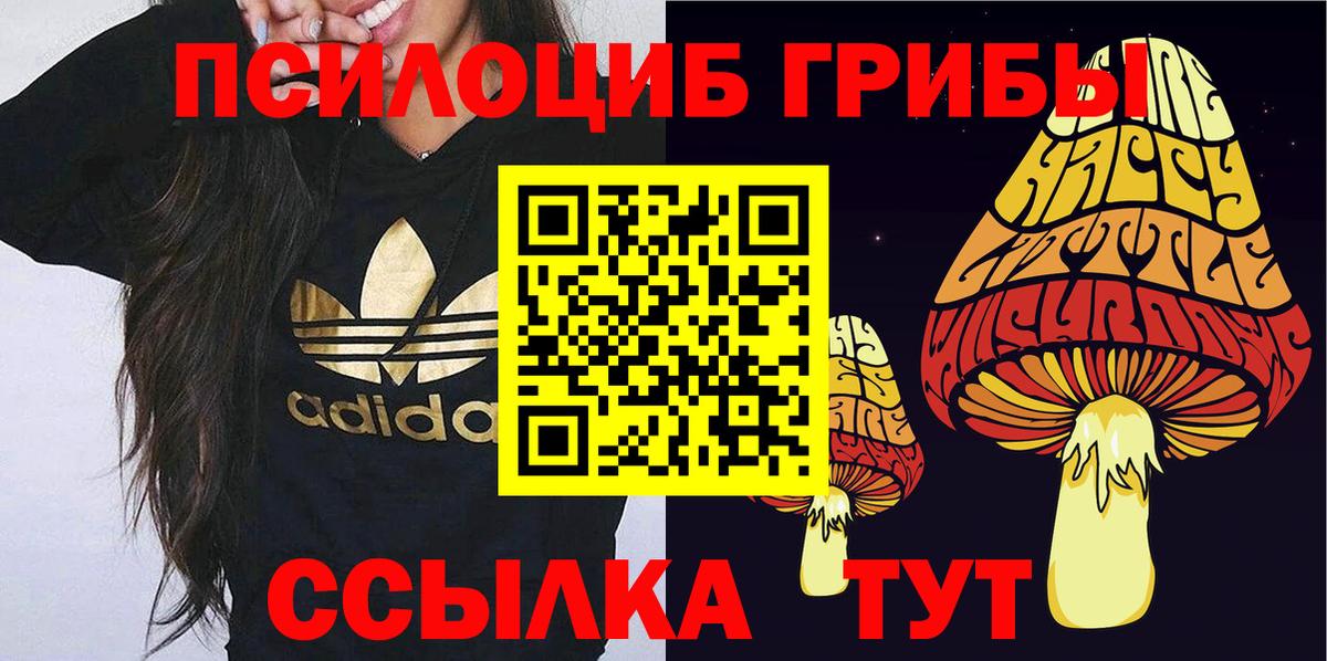 Псилоцибиновые грибы мухоморы  Вход с VPN  Прохладный 