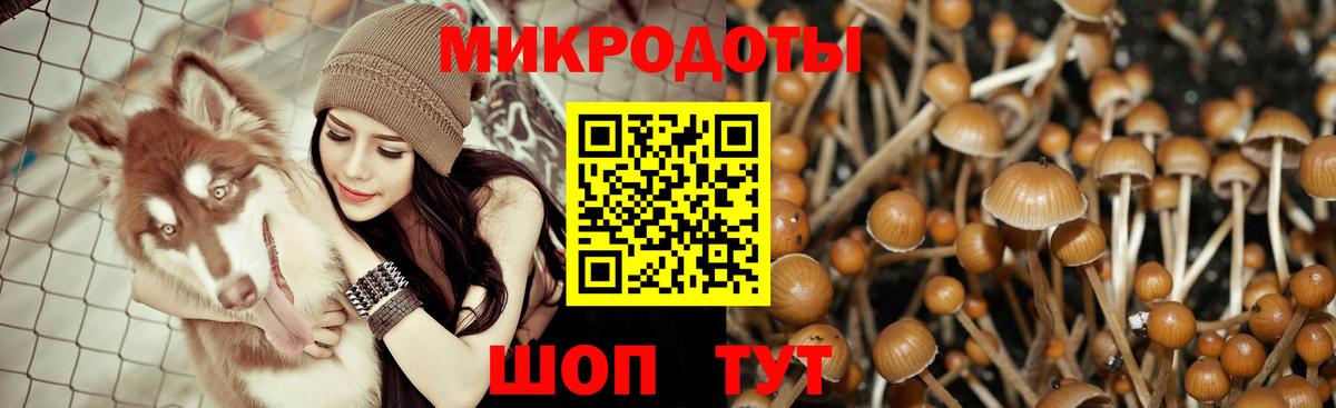 Галлюциногенные грибы MAGIC MUSHROOMS Прохладный